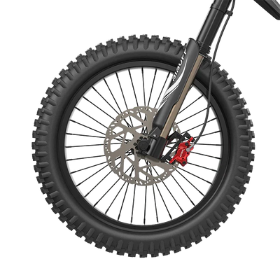 Deepower GT600 High Torque Off-Road E-Bike